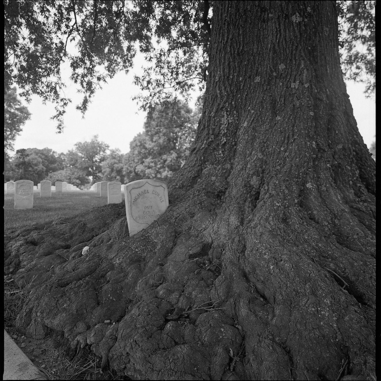 Michael Byrns/Burns at Arlington (2022)